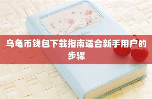 乌龟币钱包下载指南适合新手用户的步骤