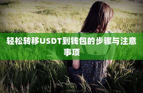 轻松转移USDT到钱包的步骤与注意事项