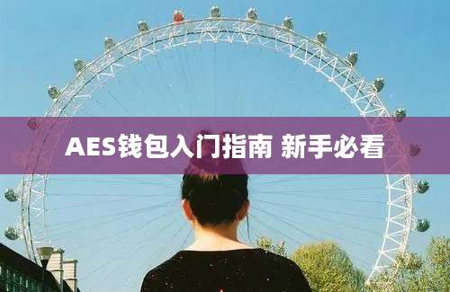 AES钱包入门指南 新手必看