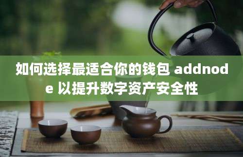 如何选择最适合你的钱包 addnode 以提升数字资产安全性