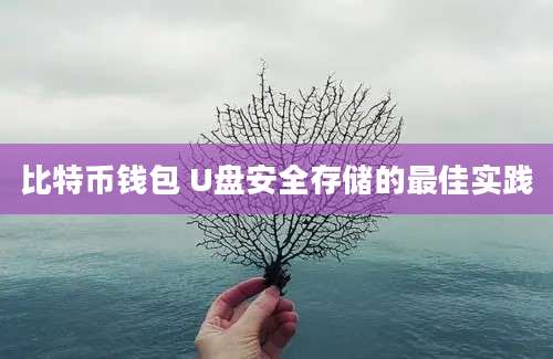 比特币钱包 U盘安全存储的最佳实践