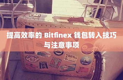 提高效率的 Bitfinex 钱包转入技巧与注意事项