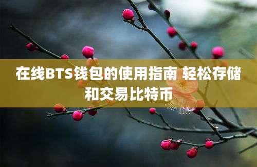 在线BTS钱包的使用指南 轻松存储和交易比特币