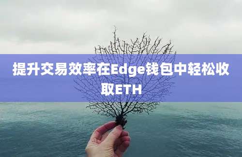 提升交易效率在Edge钱包中轻松收取ETH