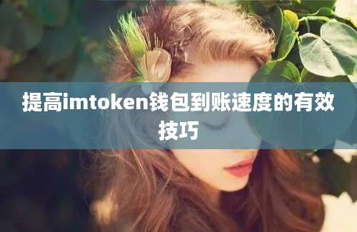 提高imtoken钱包到账速度的有效技巧