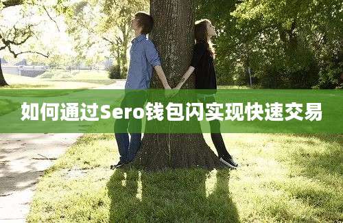 如何通过Sero钱包闪实现快速交易