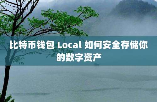 比特币钱包 Local 如何安全存储你的数字资产