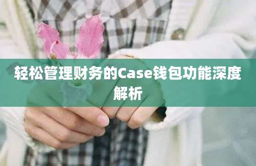 轻松管理财务的Case钱包功能深度解析