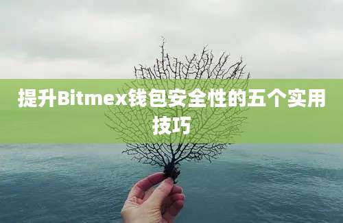 提升Bitmex钱包安全性的五个实用技巧