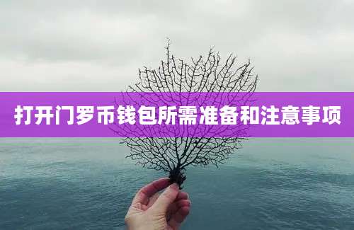 打开门罗币钱包所需准备和注意事项