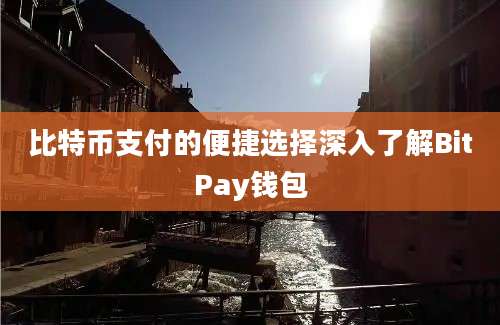 比特币支付的便捷选择深入了解BitPay钱包