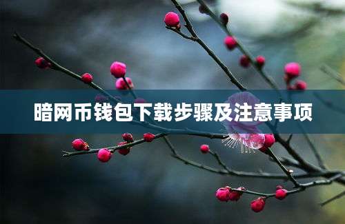 暗网币钱包下载步骤及注意事项