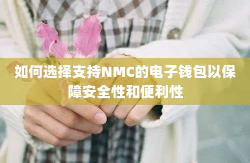 如何选择支持NMC的电子钱包以保障安全性和便利性