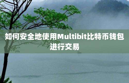 如何安全地使用Multibit比特币钱包进行交易