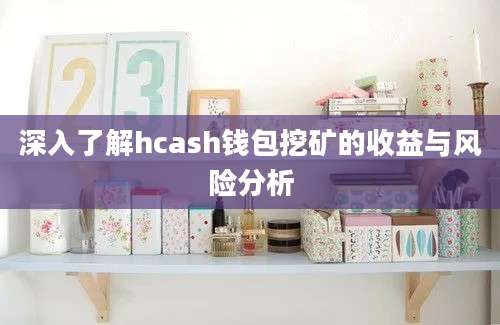 深入了解hcash钱包挖矿的收益与风险分析