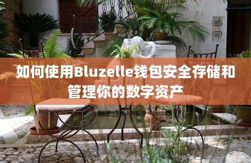 如何使用Bluzelle钱包安全存储和管理你的数字资产