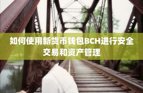 如何使用新货币钱包BCH进行安全交易和资产管理