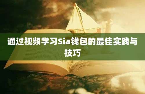 通过视频学习Sia钱包的最佳实践与技巧