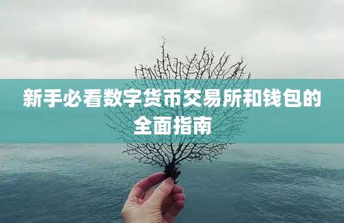 新手必看数字货币交易所和钱包的全面指南