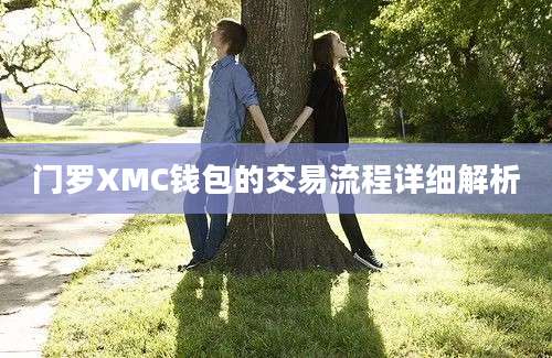 门罗XMC钱包的交易流程详细解析