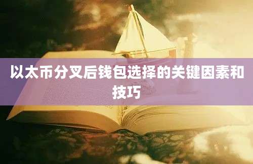 以太币分叉后钱包选择的关键因素和技巧