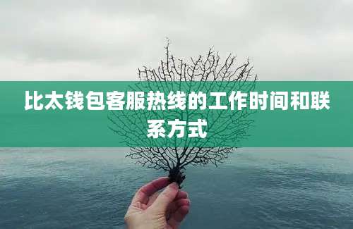 比太钱包客服热线的工作时间和联系方式