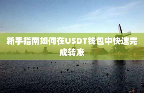 新手指南如何在USDT钱包中快速完成转账