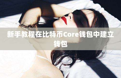 新手教程在比特币Core钱包中建立钱包