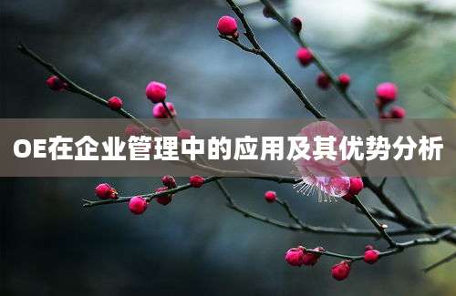 OE在企业管理中的应用及其优势分析