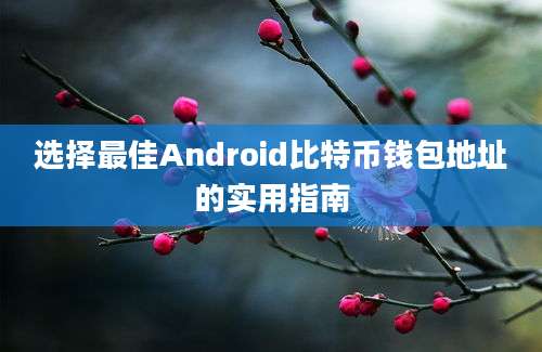 选择最佳Android比特币钱包地址的实用指南