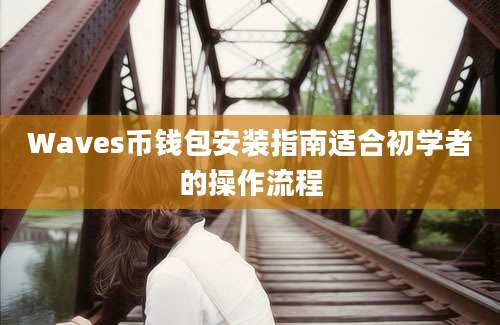 Waves币钱包安装指南适合初学者的操作流程