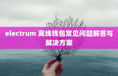 electrum 离线钱包常见问题解答与解决方案