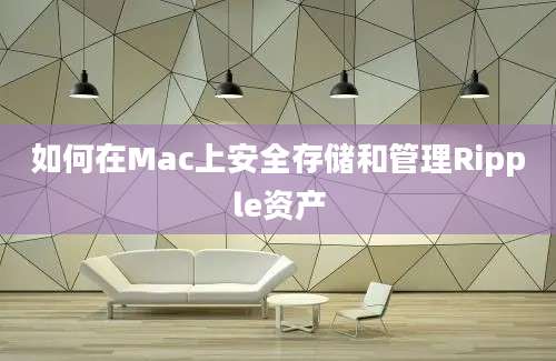 如何在Mac上安全存储和管理Ripple资产