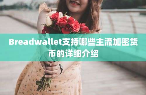 Breadwallet支持哪些主流加密货币的详细介绍