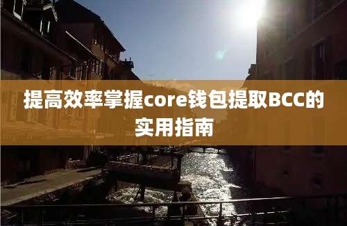 提高效率掌握core钱包提取BCC的实用指南