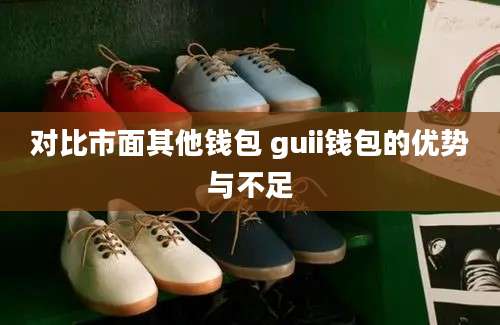 对比市面其他钱包 guii钱包的优势与不足