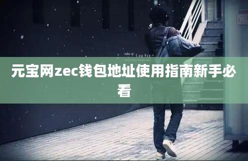 元宝网zec钱包地址使用指南新手必看