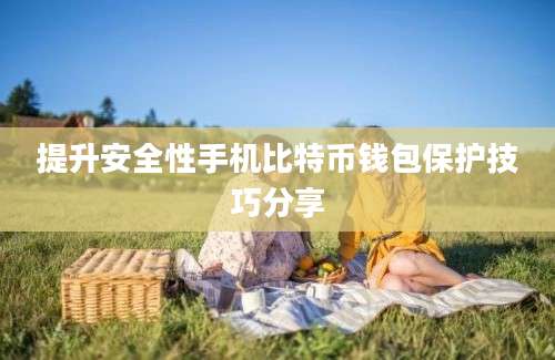 提升安全性手机比特币钱包保护技巧分享