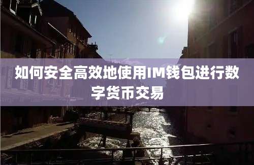 如何安全高效地使用IM钱包进行数字货币交易