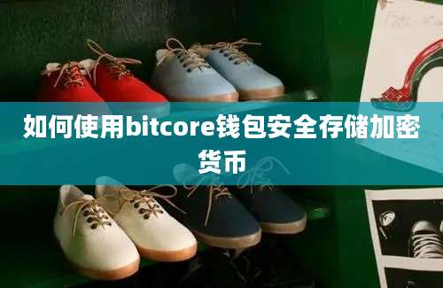 如何使用bitcore钱包安全存储加密货币