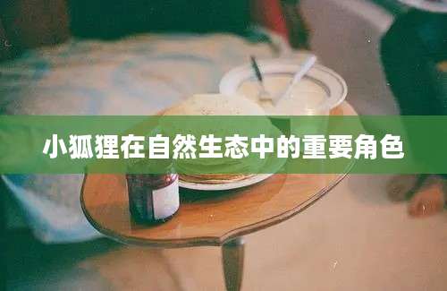 小狐狸在自然生态中的重要角色