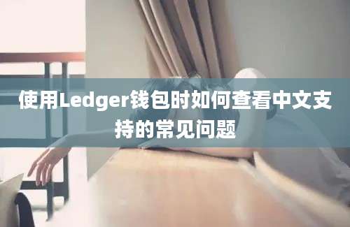 使用Ledger钱包时如何查看中文支持的常见问题