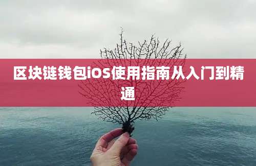 区块链钱包iOS使用指南从入门到精通