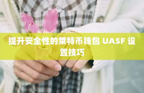 提升安全性的莱特币钱包 UASF 设置技巧