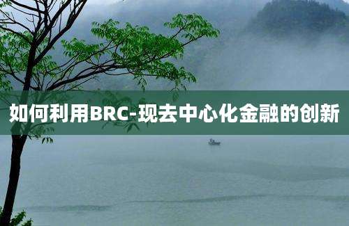 如何利用BRC-现去中心化金融的创新