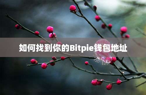 如何找到你的Bitpie钱包地址