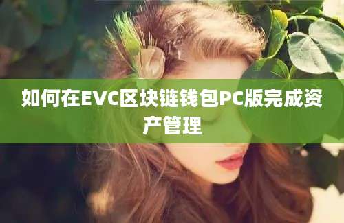 如何在EVC区块链钱包PC版完成资产管理