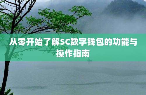 从零开始了解SC数字钱包的功能与操作指南