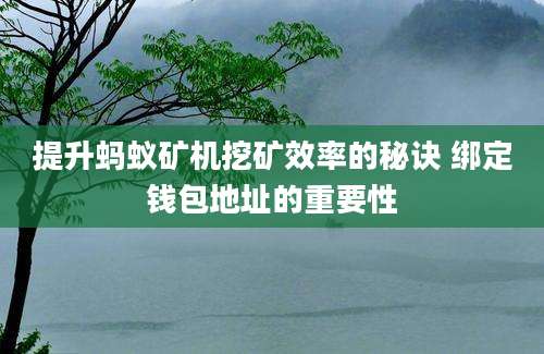 提升蚂蚁矿机挖矿效率的秘诀 绑定钱包地址的重要性