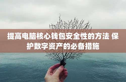 提高电脑核心钱包安全性的方法 保护数字资产的必备措施